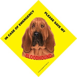 In Case of Emergency Please Save my Bloodhound / Save My Pet signs with suc…