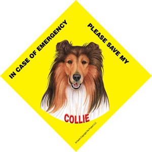 In Case of Emergency Please Save my Collie / Save My Pet signs with suction cup
