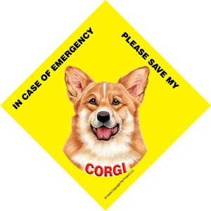In Case of Emergency Please Save my Corgi / Save My Pet signs with suction cup