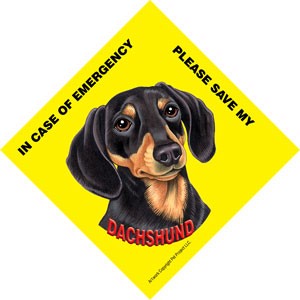 In Case of Emergency Please Save my Dachshund (Black and brown) / Save My P…