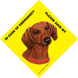 In Case of Emergency Please Save my Dachshund (Reddish-brown color) / Save …