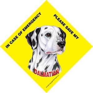 In Case of Emergency Please Save my Dalmatian / Save My Pet signs with suct…