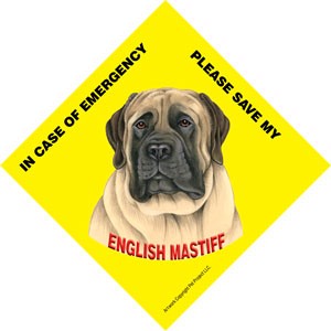 In Case of Emergency Please Save my English Mastiff / Save My Pet signs wit…