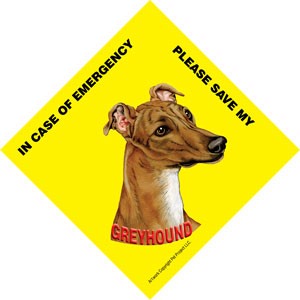In Case of Emergency Please Save my Greyhound (Brown color) / Save My Pet s…