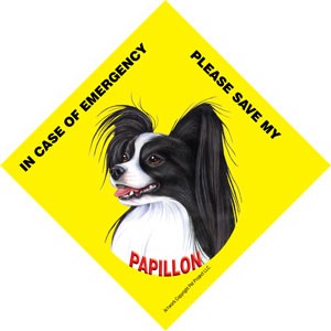 In Case of Emergency Please Save my Papillon (Black and white) / Save My Pe…