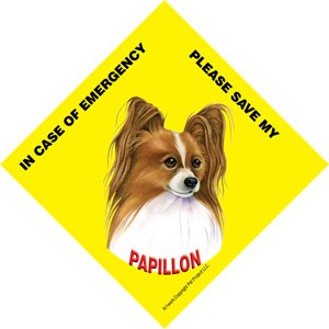 In Case of Emergency Please Save my Papillon (Reddish-brown color) / Save M…