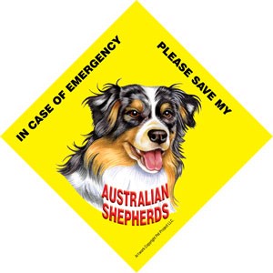 In Case of Emergency Please Save my Australian Shepherds / PLURAL Save My P…