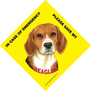 In Case of Emergency Please Save my Beagles / PLURAL Save My Pet signs with…