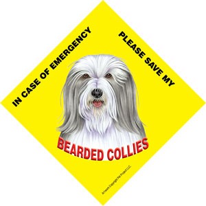 In Case of Emergency Please Save my Bearded Collies / PLURAL Save My Pet si…