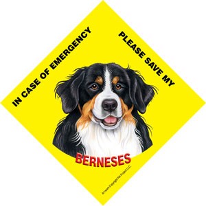 In Case of Emergency Please Save my Berneses / PLURAL Save My Pet signs wit…