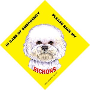 In Case of Emergency Please Save my Bichons / PLURAL Save My Pet signs with…