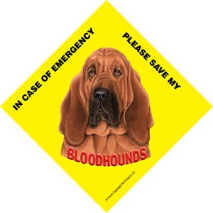 In Case of Emergency Please Save my Bloodhounds / PLURAL Save My Pet signs …