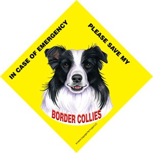 In Case of Emergency Please Save my Border Collies / PLURAL Save My Pet sig…