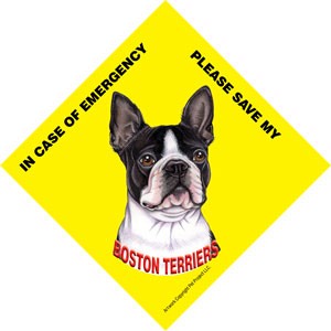 In Case of Emergency Please Save my Boston Terriers / PLURAL Save My Pet si…