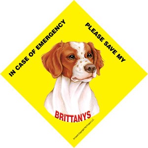 In Case of Emergency Please Save my Brittanys / PLURAL Save My Pet signs wi…