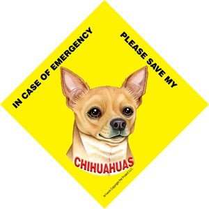 In Case of Emergency Please Save my Chihuahuas (Tan) / PLURAL Save My Pet s…