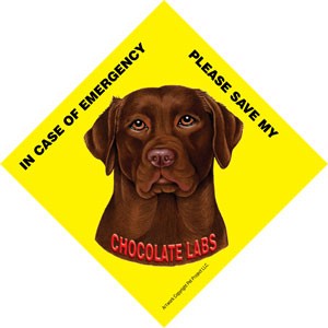 In Case of Emergency Please Save my Chocolate Labs / PLURAL Save My Pet sig…
