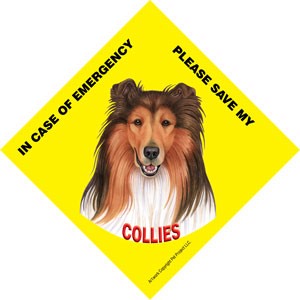In Case of Emergency Please Save my Collies / PLURAL Save My Pet signs with…