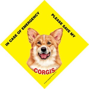 In Case of Emergency Please Save my Corgis / PLURAL Save My Pet signs with …