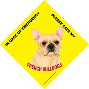 In Case of Emergency Please Save my French Bulldogs / PLURAL Save My Pet si…