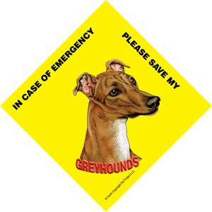In Case of Emergency Please Save my Greyhounds (Brown color) / PLURAL Save …