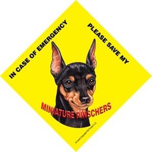 In Case of Emergency Please Save my Miniature Pinschers / PLURAL Save My Pe…