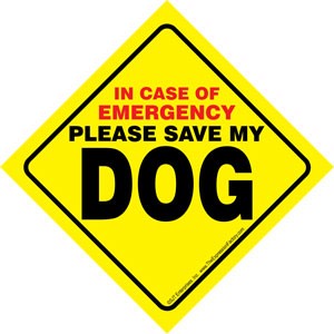 In Case of Emergency Please Save my DOG / Save My Pet signs with suction cup