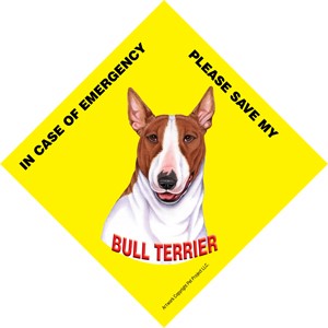 In Case of Emergency Please Save my Bull Terrier (Brown and white) / Save M…