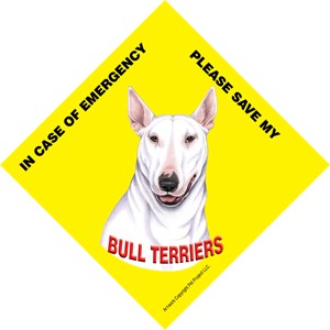 In Case of Emergency Please Save my Bull Terriers (White) / PLURAL Save My …