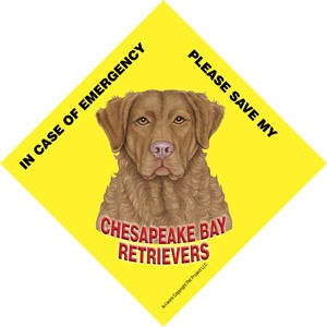 In Case of Emergency Please Save my Chesapeake Bay Retrievers / PLURAL Save…
