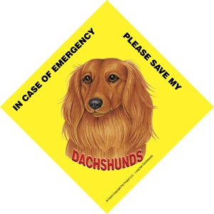 In Case of Emergency Please Save my Dachshunds / PLURAL Save My Pet signs w…