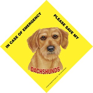 In Case of Emergency Please Save my Dachshund / PLURAL Save My Pet signs wi…