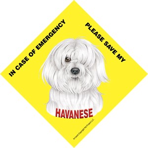 In Case of Emergency Please Save my Havanese / Save My Pet signs with sucti…