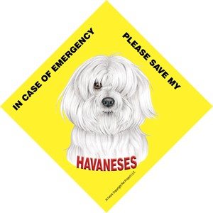 In Case of Emergency Please Save my Havaneses / PLURAL Save My Pet signs wi…
