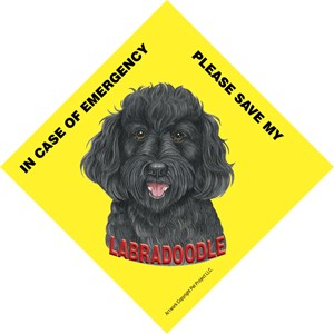 In Case of Emergency Please Save my Labradoodle / Save My Pet signs with su…