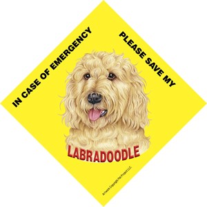 In Case of Emergency Please Save my Labradoodle / Save My Pet signs with su…