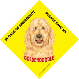 In Case of Emergency Please Save my Goldendoodle / Save My Pet signs with s…