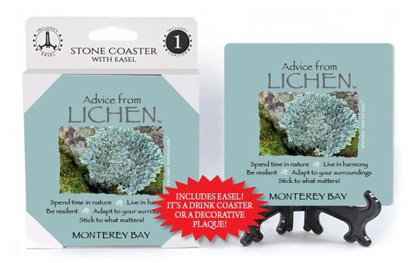 Lichen / Advice From - 4" x 4" Table Coaster - 1 Per Pack With Easel