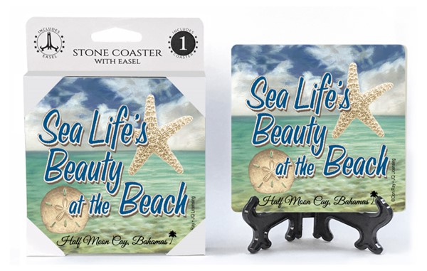 Sea Lifes beauty at the beach  sand dollar   sky    1-pack with easel absorbent