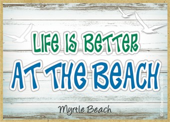Life is better at the beach  flying seagulls / Wood fridge magnet with whitewash
