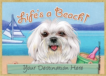Maltese   puppy cut   / Life's a Beach wood fridge magnet that can be name dropp