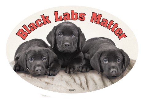 Black Labs Matter