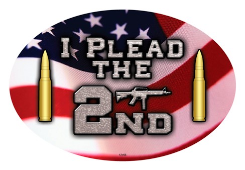 I plead the 2nd (bullets and American flag in background)