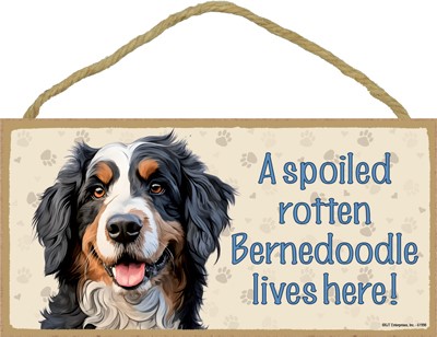 A Spoiled Rotten Bernedoodle Lives Here! (Wood Plaque/Sign)