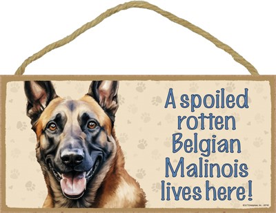 A Spoiled Rotten Belgian Malinois LIves Here! (Wood Plaque/Sign)