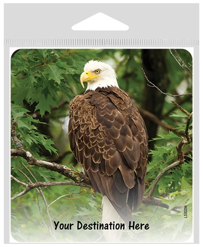 Eagle sitting on a branch large sticker