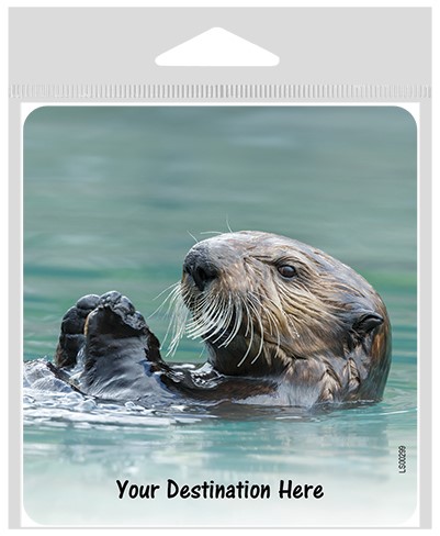 Otter swimming on his back large sticker.