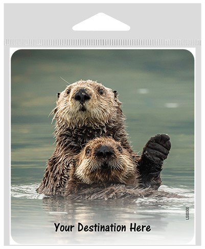 Otters swimming on their backs together large sticker.