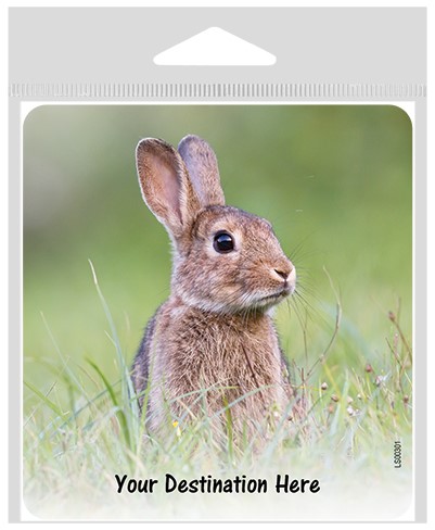 Rabbit sitting in grass large sticker.