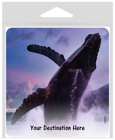 Whale breaching, purple sky large sticker.